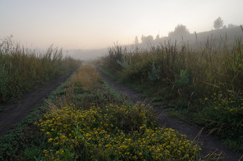 Julimorgen / ***