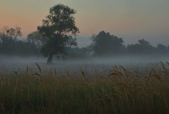 Morgendämmerung / ***