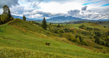 Landschaft mit Pferd / ***