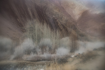 Altai Landschaft / ***