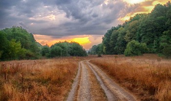 Straße zum Herbst / ***