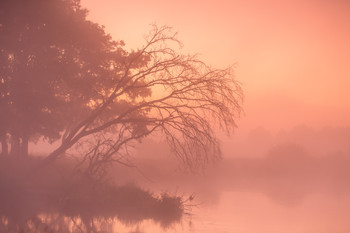  / https://max-helloween.livejournal.com/174203.html