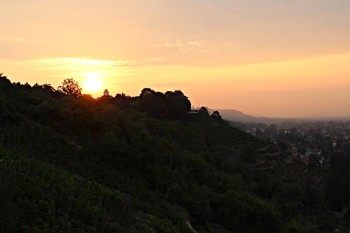 https://www.joergsfotografischeaugenblicke.de/ / Ein beginnender Morgen am Weinberg in Radebeul