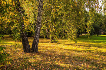Der Beginn des Herbstes / ***