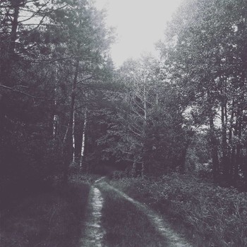 Wald / ***