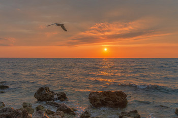 Sea Sorgen wieder ... / ***