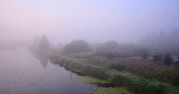 Foggy Welt / ***