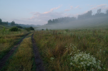 Julimorgen / ***