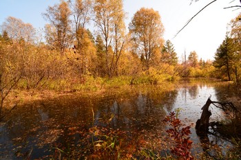 Herbst / ***