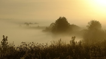 Herbstnebel. / ***