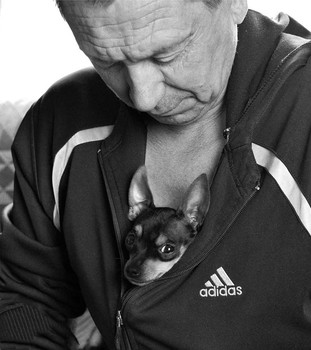Adidas / Adidas*