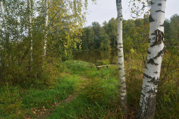 Auf dem See / 2019
