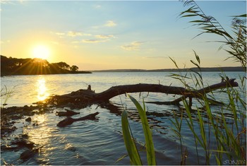 warmen Sommerabend / ***