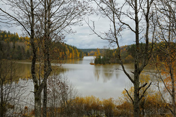 Herbst / ***