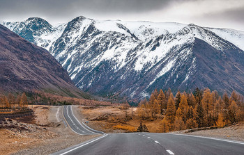 Autumn ..... Road .... / ***