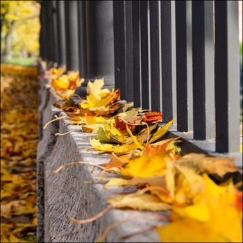 Signs of Herbst / ***
