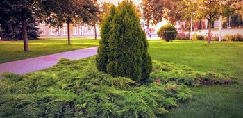 Walk in the Park / ***