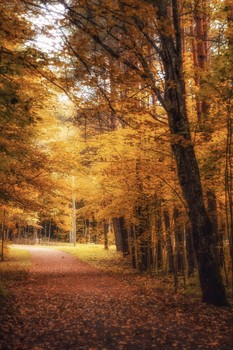 Herbst / ***