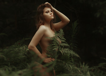 Summer moments / ...