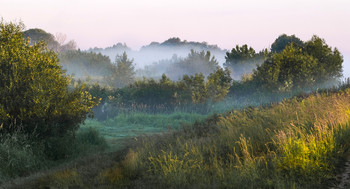 Nebel in der Morgendämmerung. / ***