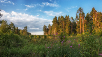 Landschaft / ***