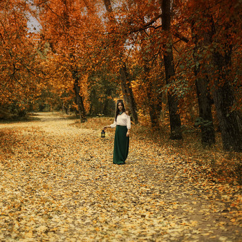 Spaziergang durch den Wald / ***