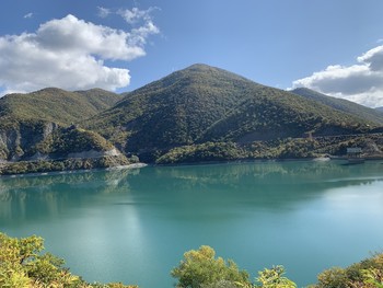  / Georgia
