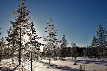 Frost und Sonne ........ / ***