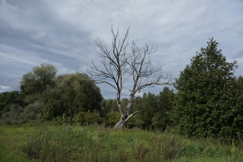  / Luszhki-village, Istra-district, Moscow region, Russia