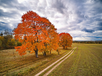  / https://max-helloween.livejournal.com/175904.html