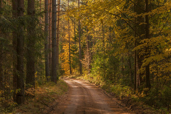 Herbst / ***