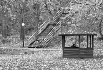 Allein mit dem Fall / ***