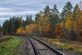  / nikkor 24-120 f4