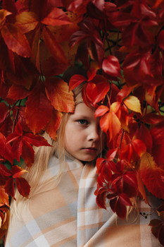 Herbstfarben / ***