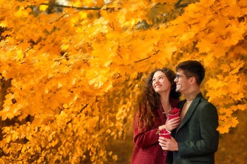 Herbst / ***