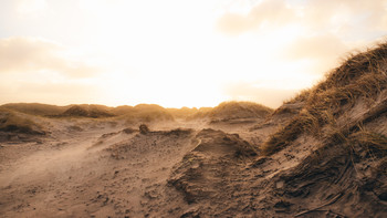 Sonnenaufgang in den Dünen Dänemarks / Es gibt doch kaum etwas schöneres, als nach einem eisig kalten stürmischen Morgen den ersten wärmenden Sonnenstrahlen entgegen zu blicken. Dänemark ist einfach nur schön????