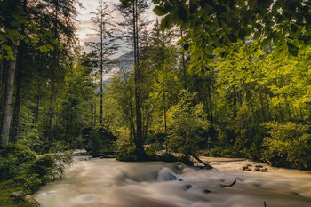 Schwanger im Zauberwald / Ein kleines "Roamer Portrait" meiner Schwangeren Frau. Es war einfach zu schön im Zauberwald im Berchtesgadener Land. Und als das Licht so fiel und meine Frau am anderen Ufer stand, konnte ich nicht umhin meine Komposition neu zu gestalten und sie mit ins Foto einzubauen.