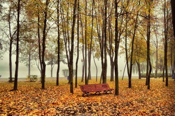 Fall Again / ***