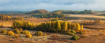 Herbst / ***