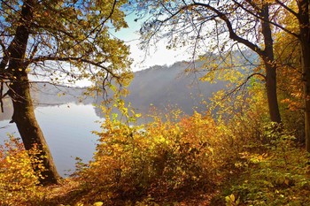 Herbstlicht / ***