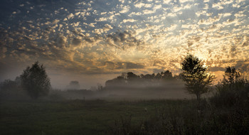 Herbstnebel / ***