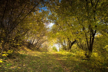 Bequemlichkeit / ***