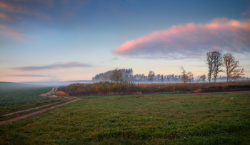 Herbst / ***