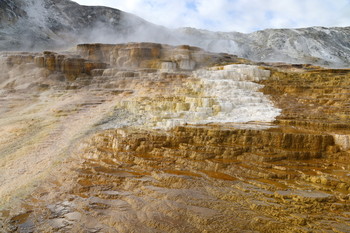 Mammoth Hot Springs / ***