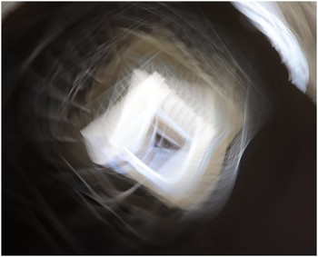 / ***