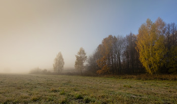 Herbst Trauer / ***
