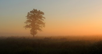 Morgendämmerung / ***