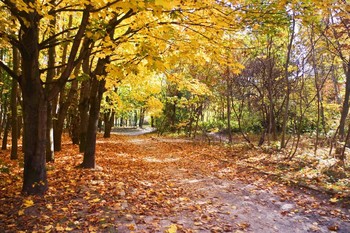 Herbst-Outfit / ***