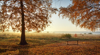 Herbst / ***