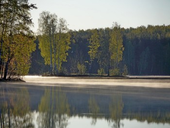 Sonnig Nebel / ***
